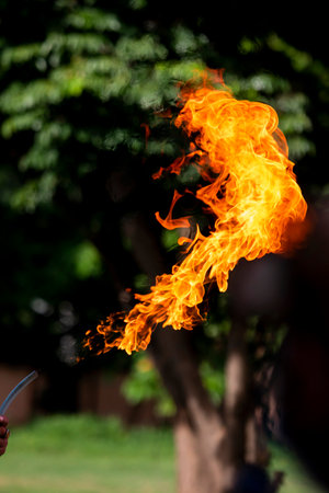 Firefighters are practicing firefighting plans are putting out a burning fireの写真素材