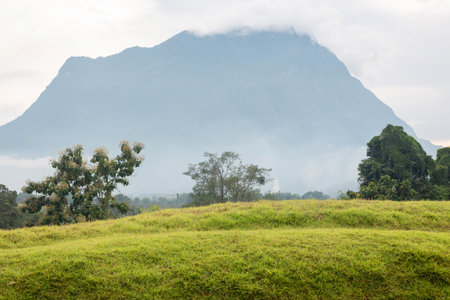 Mountain view of Phu Chi Fa at Chiangrai province, Thailand.
