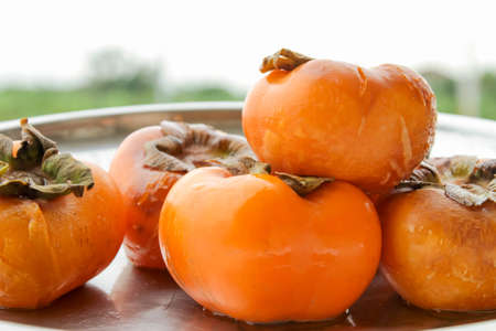 Persimmons rotten on the woodの写真素材