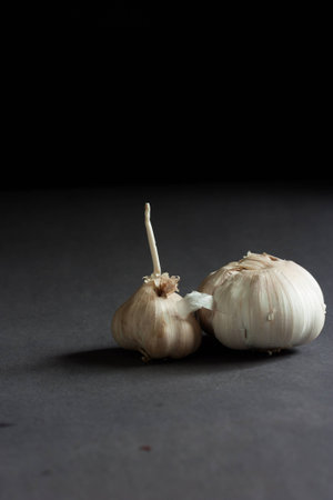 garlicの写真素材