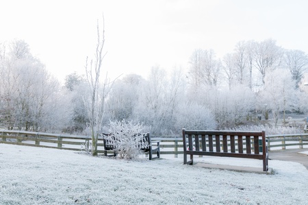 Fresh snow covering trees, benches in Macclesfield, Cheshire, Englandの写真素材