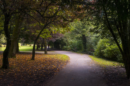 Pathway coverd by trees in a park near buxton England