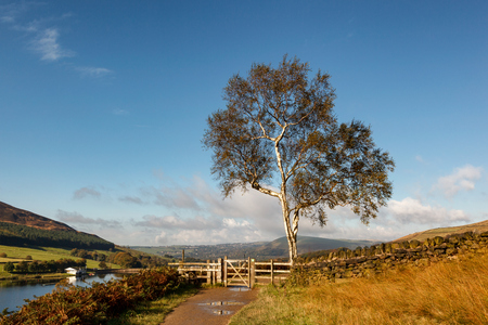 Countryside Walk Along Dovestone reservoir in Greater Manchester, England.の写真素材