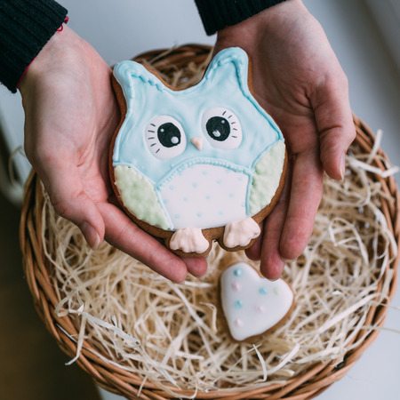 Valentine's day colored owl cookies in female handsの写真素材