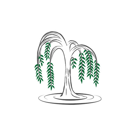 Willow treeのイラスト素材