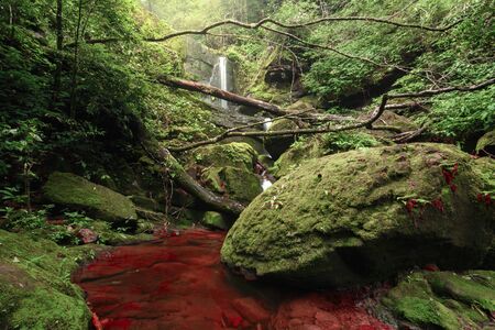 Waterfall and red river and more stone moss in deep forest