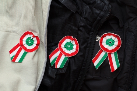 Hungarian cockades on jacketsの写真素材