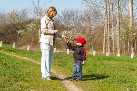 Little boy give flower to mom の写真素材