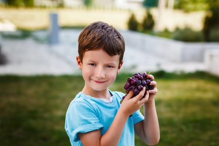 Little boy holding wine grapes, outdoorの写真素材