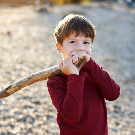 Little boy holding branch, outdoor portrait, childhoodの写真素材