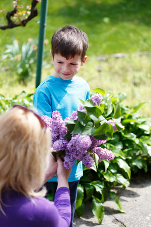 Little boy give lilac to mom, motherの写真素材
