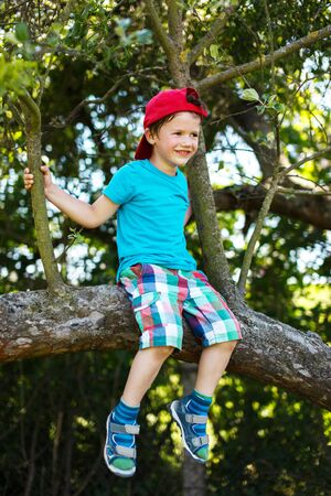 Little boy in cap sitting up a tree on summerの写真素材