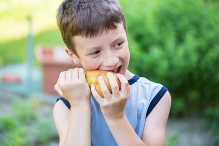 Little caucasian boy eating pears, outdoor portraitの写真素材