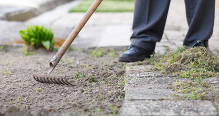 Man rake outdoor soilの写真素材