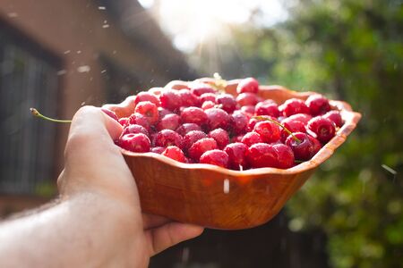 Man hands holding fresh bowl of cherry outdoorの写真素材