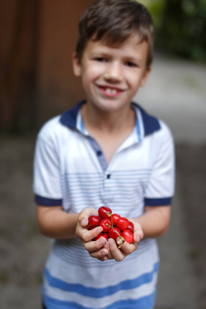 Happy little caucasian boy holding cherries in hands outdoorの写真素材