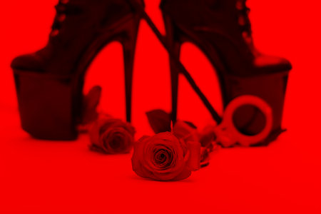 Rose with dominatrix equipment in red light, depth of fieldの写真素材