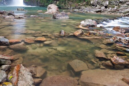 Fishes swimming in the waterfalls.