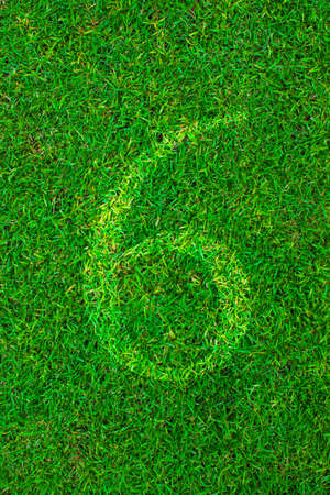 Grass background Green grass on a football field の写真素材