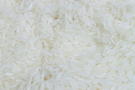 white long rise background.rice grain (jasmine rice)の写真素材