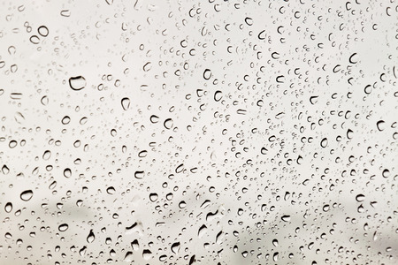 Rain Drops background.の写真素材