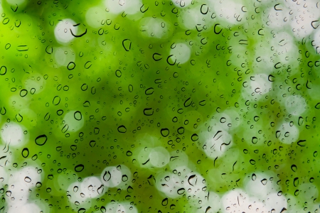 water drop on green leaf for backgroundの写真素材