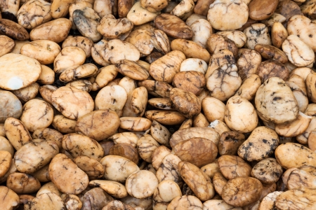 gravel texture use as natural backgroundの写真素材