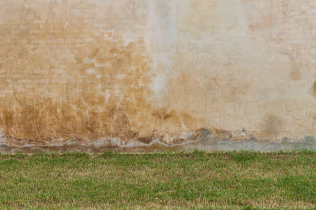 Green grass and white concrete wall.の写真素材