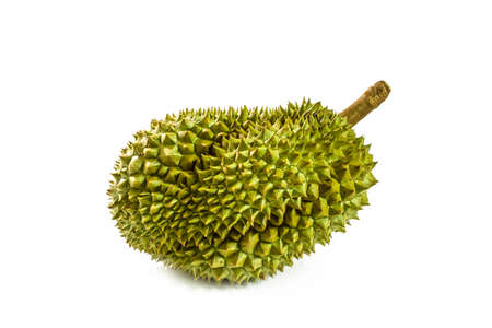 King of fruits, durian isolated on white backgroundの写真素材