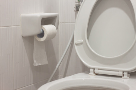 Toilet roll in white toiletの写真素材