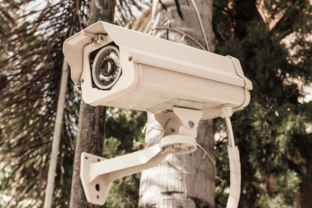 Security Camera or CCTV in park