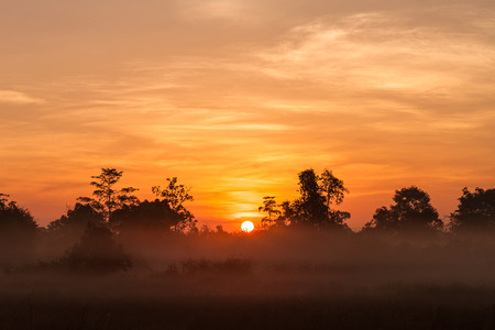 Sunrise and fogの写真素材