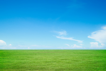 Green grass and sky Green grass and sky