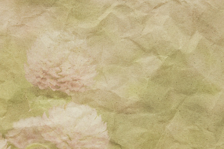 Globe Amaranth on  paper texture for background,in vintage styleの写真素材