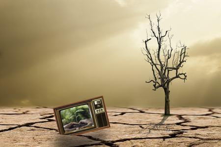 The campaign to reforest To reduce global warming,hands holding and caring a young plant on television or tvの写真素材