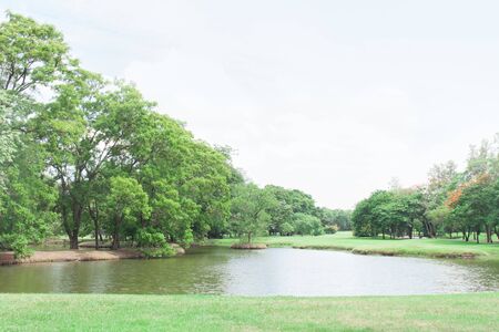 green grass field in public parkの写真素材