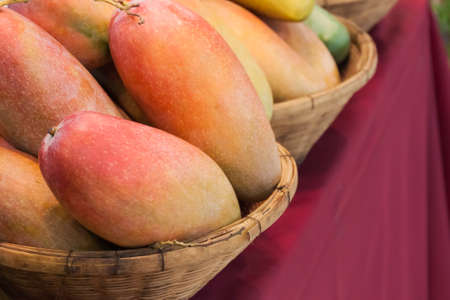 Fresh colorful tropical mangoes in the  marketの写真素材