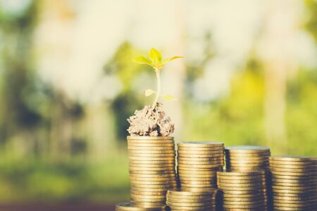 plant growing out of coins ,concept of corporate social responsibility (csr)の写真素材