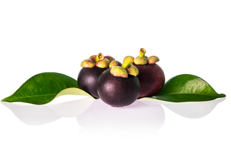 three mangosteen isolated on white background.tropical fruit for healthy eating.の写真素材