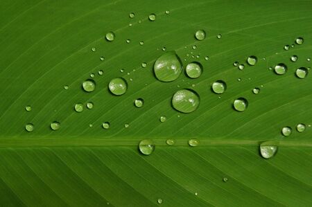 water drop