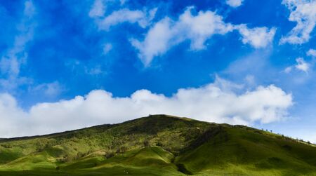 Spend  the day in the shade  the  sky in Bromo Forestの写真素材