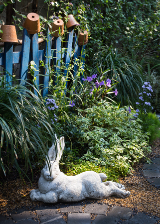 A small backyard, The garden.の写真素材