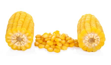 Corn isolated on a white backgroundの写真素材