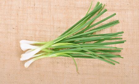 thai onion spring group on sack backgroundの写真素材