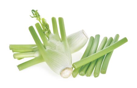 Fennel isolated on the white background .の写真素材