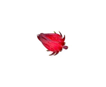 Hibiscus sabdariffa or roselle fruits on white backgroundの写真素材