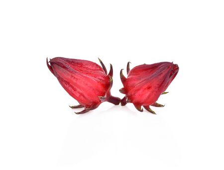 Hibiscus sabdariffa or roselle fruits isolated on white backgroundの写真素材