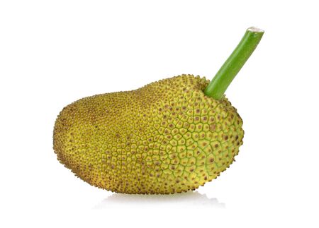 jackfruit isolated on white background