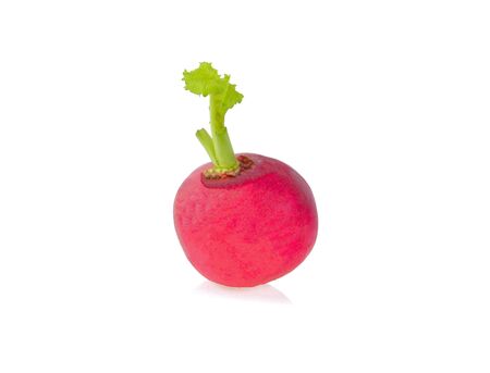 Radish isolated on white background.の写真素材