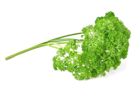 parsley isolated on white backgroundの写真素材